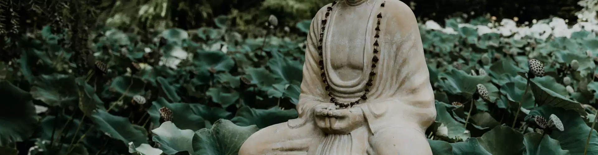 Medicine Buddha Chant Circle - Online Class by Sharon Carne