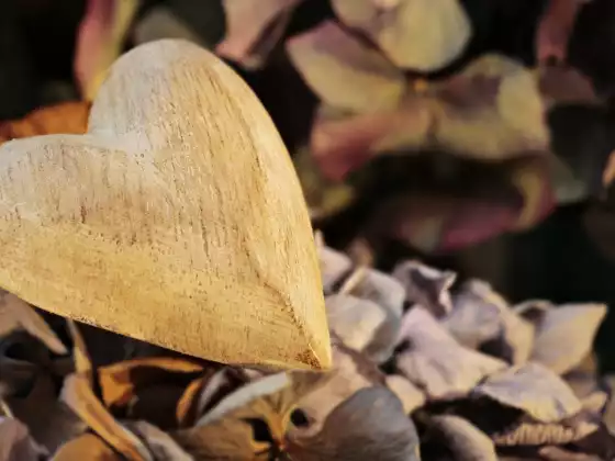 21 Days Gratitude Practice Bundle